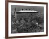 Queen Mary Ship Sailing Past Greenock in 1936-null-Framed Photographic Print