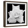 Queen Of Rose Land, 2009-Hiroyuki Arakawa-Framed Photographic Print