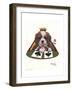 Queen of Spades-Jenny Newland-Framed Giclee Print