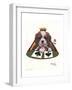 Queen of Spades-Jenny Newland-Framed Giclee Print