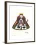 Queen of Spades-Jenny Newland-Framed Giclee Print