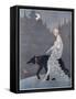 Queen of the Night by Marjorie Miller-null-Framed Stretched Canvas
