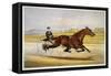 Queen of the Turf, 'Maud S', Driven by W.W. Bair, Lithograph-Nicholas Winfield Leighton-Framed Stretched Canvas