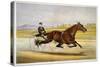 Queen of the Turf, 'Maud S', Driven by W.W. Bair, Lithograph-Nicholas Winfield Leighton-Stretched Canvas