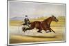 Queen of the Turf, 'Maud S', Driven by W.W. Bair, Lithograph-Nicholas Winfield Leighton-Mounted Giclee Print