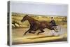 Queen of the Turf, 'Maud S', Driven by W.W. Bair, Lithograph-Nicholas Winfield Leighton-Stretched Canvas