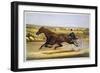 Queen of the Turf, 'Maud S', Driven by W.W. Bair, Lithograph-Nicholas Winfield Leighton-Framed Giclee Print