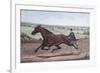 Queen of the Turf Maud S., Driven by W.W. Bair-Currier & Ives-Framed Giclee Print