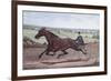 Queen of the Turf Maud S., Driven by W.W. Bair-Currier & Ives-Framed Giclee Print