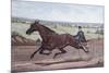 Queen of the Turf Maud S., Driven by W.W. Bair-Currier & Ives-Mounted Giclee Print