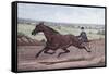 Queen of the Turf Maud S., Driven by W.W. Bair-Currier & Ives-Framed Stretched Canvas