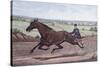 Queen of the Turf Maud S., Driven by W.W. Bair-Currier & Ives-Stretched Canvas