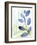 Queen Palms I-Jennifer Paxton Parker-Framed Art Print