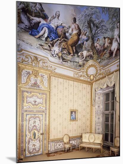 Queen's Bedroom in Castle, Stupinigi's Little Hunting Palace-null-Mounted Photographic Print