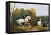 Queen Victoria (1819-1901) and Prince Albert (1819-61) Viewing the Llamas in the House Park,…-Gourlay Steel-Framed Stretched Canvas