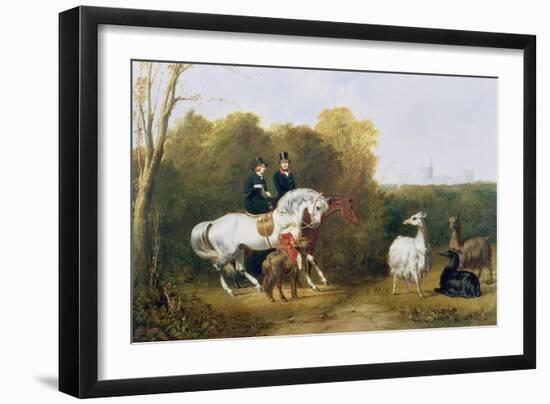 Queen Victoria (1819-1901) and Prince Albert (1819-61) Viewing the Llamas in the House Park,…-Gourlay Steel-Framed Giclee Print
