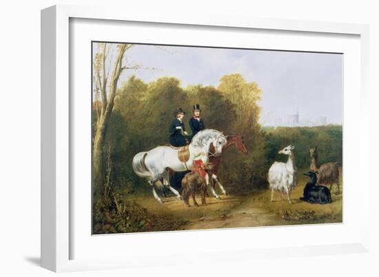 Queen Victoria (1819-1901) and Prince Albert (1819-61) Viewing the Llamas in the House Park,…-Gourlay Steel-Framed Giclee Print