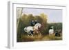 Queen Victoria (1819-1901) and Prince Albert (1819-61) Viewing the Llamas in the House Park,…-Gourlay Steel-Framed Giclee Print