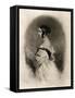 Queen Victoria at the Age of Twenty, 19th Century-Cockerell-Framed Stretched Canvas