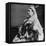 Queen Victoria in Ceremonial Robes at Her Golden Jubilee, 1887-null-Framed Stretched Canvas