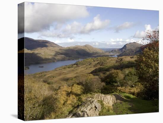 Queen Victoria Ladies View, Upper Lake, Killarney National Park, Munster, Republic of Ireland-Oliviero Olivieri-Stretched Canvas