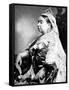 Queen Victoria Wearing the Small Imperial Crown to Mark Her 66th Birthday-null-Framed Stretched Canvas