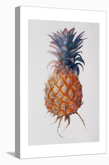 Queenie Pineapple, 1994-Rebecca John-Stretched Canvas