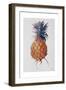 Queenie Pineapple, 1994-Rebecca John-Framed Giclee Print