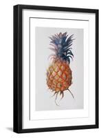 Queenie Pineapple, 1994-Rebecca John-Framed Giclee Print