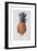 Queenie Pineapple, 1994-Rebecca John-Framed Giclee Print