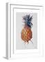 Queenie Pineapple, 1994-Rebecca John-Framed Giclee Print