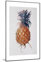 Queenie Pineapple, 1994-Rebecca John-Mounted Giclee Print