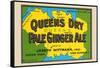 Queens Dry Pale Ginger Ale-null-Framed Stretched Canvas