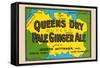 Queens Dry Pale Ginger Ale-null-Framed Stretched Canvas