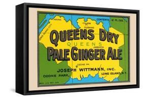 Queens Dry Pale Ginger Ale-null-Framed Stretched Canvas