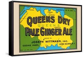 Queens Dry Pale Ginger Ale-null-Framed Stretched Canvas