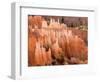 Queens Garden, Bryce Canyon National Park, Utah, USA-Jamie & Judy Wild-Framed Photographic Print