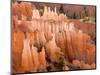 Queens Garden, Bryce Canyon National Park, Utah, USA-Jamie & Judy Wild-Mounted Photographic Print