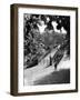 Queens Park Bridge-null-Framed Premium Photographic Print