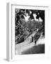 Queens Park Bridge-null-Framed Premium Photographic Print