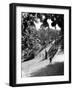 Queens Park Bridge-null-Framed Photographic Print