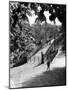 Queens Park Bridge-null-Mounted Photographic Print