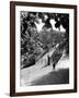 Queens Park Bridge-null-Framed Photographic Print