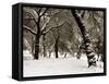 Queens Park Manchester in the Winter-null-Framed Stretched Canvas