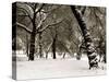 Queens Park Manchester in the Winter-null-Stretched Canvas
