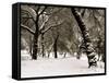 Queens Park Manchester in the Winter-null-Framed Stretched Canvas