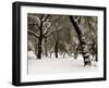 Queens Park Manchester in the Winter-null-Framed Photographic Print