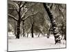 Queens Park Manchester in the Winter-null-Mounted Photographic Print