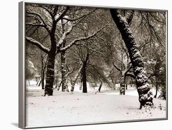 Queens Park Manchester in the Winter-null-Framed Photographic Print