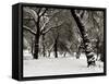 Queens Park Manchester in the Winter-null-Framed Stretched Canvas